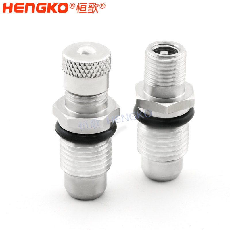 恒歌氣門(mén)嘴-DSC_0656