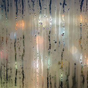 QQ圖片20221130082556